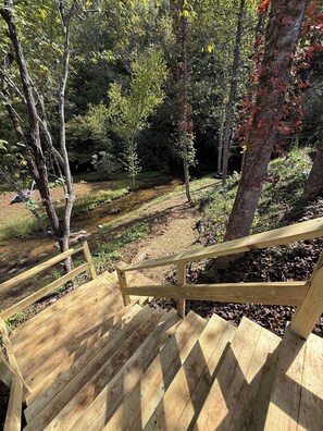 Property grounds -  Nick's House on Beautful Cowee Creek (Franklin)