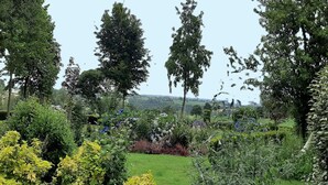 A lush garden with various plants and trees, a grassy lawn, and a stone wall. - Tour de France Retreat (Gouvets)