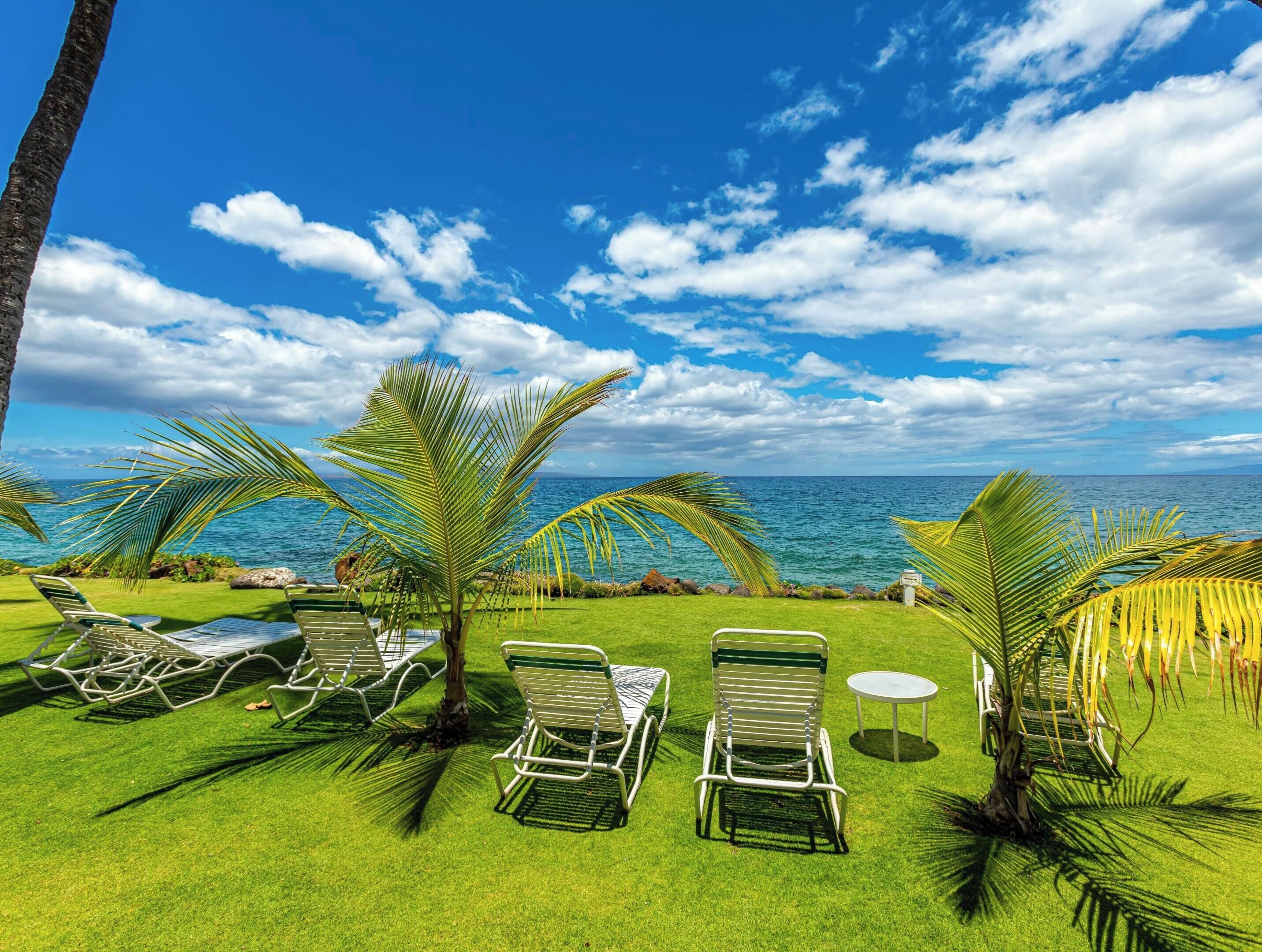 Un espacio al aire libre tropical con sillones reclinables y palmeras, con vista a una masa de agua.