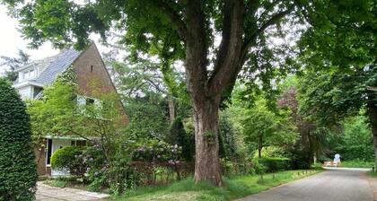 Renovated studio, near the forest and center