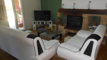 Smart TV, chimenea, reproductor de DVD y libros