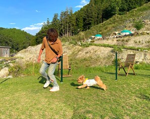 Pet-friendly amenities - HAKIMASUE Outdoor Village (Asakura)