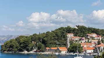 Apartment (Apartments Miljan Popovic - Two Bedro) | View from property