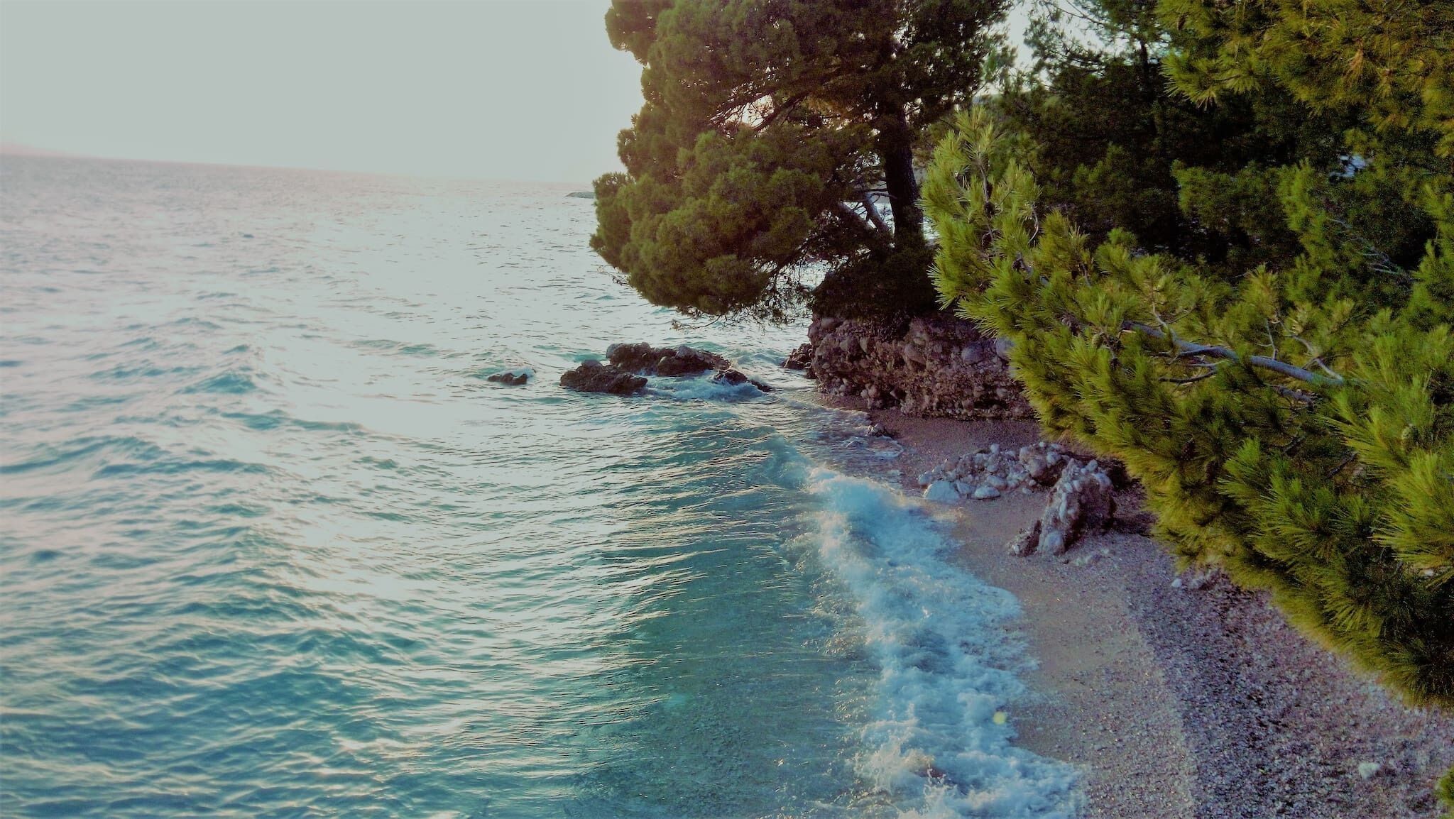 Un paysage côtier caractérisé par une rive rocheuse, une eau turquoise cristalline et une végétation luxuriante.