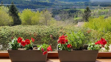 Une vue depuis une fenêtre, avec deux pots de fleurs posés sur un rebord en bois, donnant sur un paysage vallonné avec une ville en contrebas.