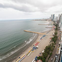 Signature Apartment | View from room