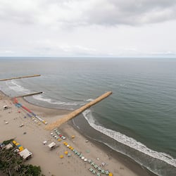 Signature Apartment | View from room