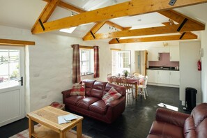 Televisión, chimenea y reproductor de DVD 