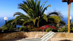 A sunlit outdoor seating area with a stone wall, a palm tree, and a view of the ocean. - Villa Finca Tijarafe with heated pool (Tijarafe)