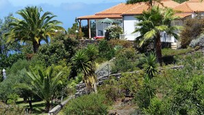 A hillside villa with a tiled roof, surrounded by lush greenery and palm trees. - Villa Finca Tijarafe with heated pool (Tijarafe)
