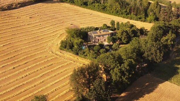 An aerial view of a property with terraced fields, a house with solar panels, and surrounding trees. - Casa il Girasole con piscina  (Macerata)