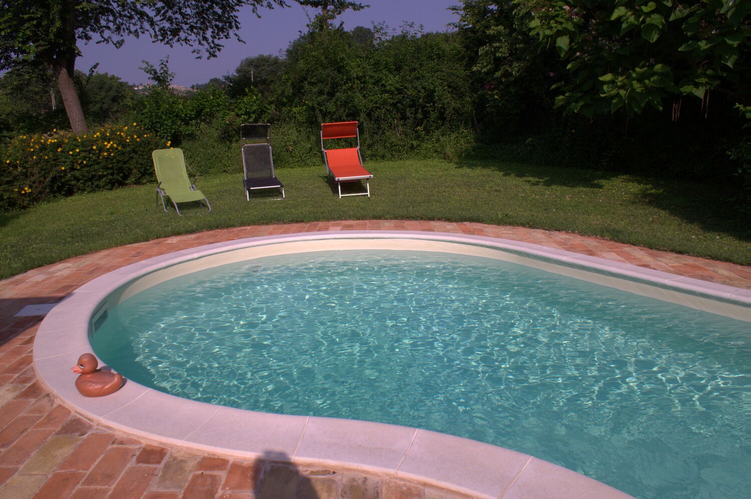 Una piscina con borde de ladrillo, rodeada de césped y árboles.