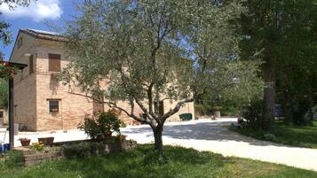 A building with a brick facade, a tree in the foreground, and a clear sky.