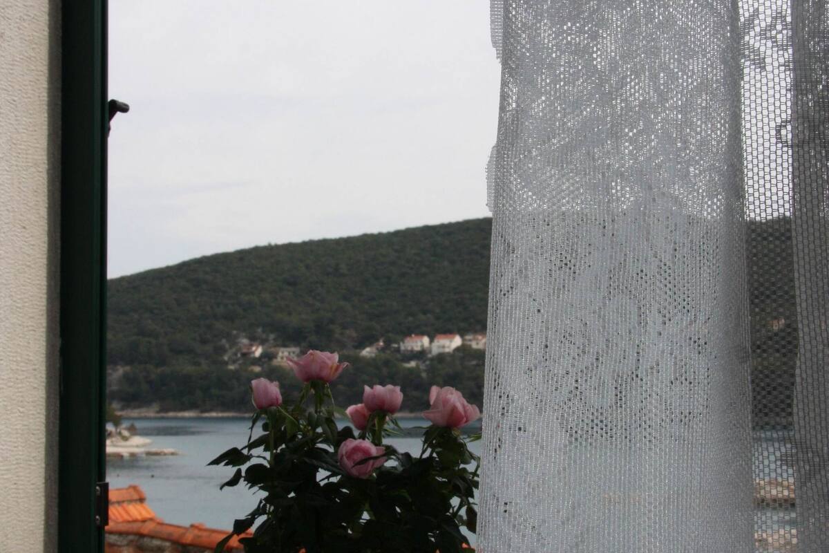 A potted plant with pink flowers on a balcony overlooking a coastal view.