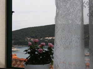 Vista desde la propiedad