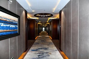 Ảnh chưa phân loại, 5 trong số 19 ảnh, nút