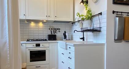 2 Minutes to Island Park! Spacious Family-Sized Old Town Apartment