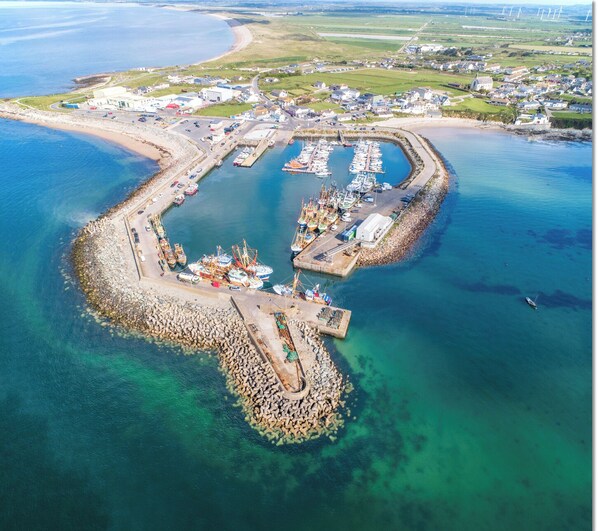 House | Aerial view