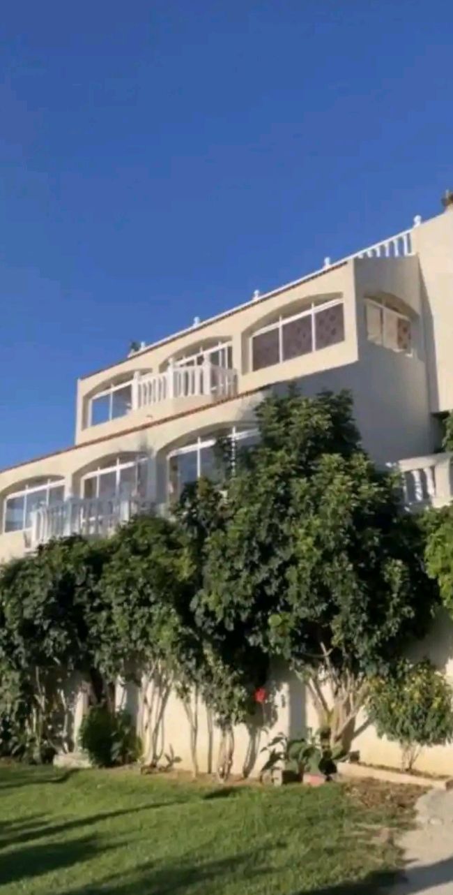 Un immeuble à plusieurs étages doté de balcons, entouré de verdure.
