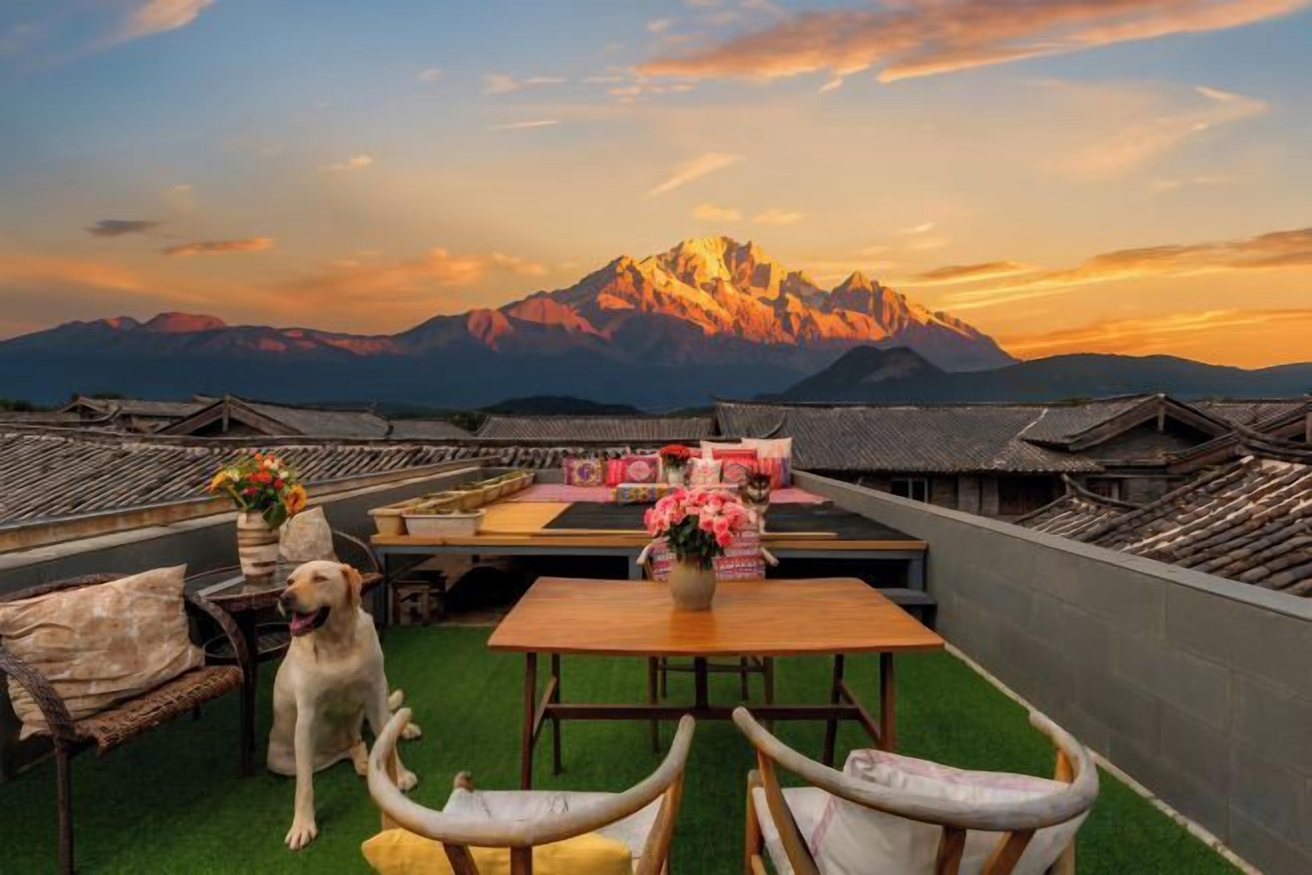 Terraza en la azotea con una mesa, sillas y un perro.
