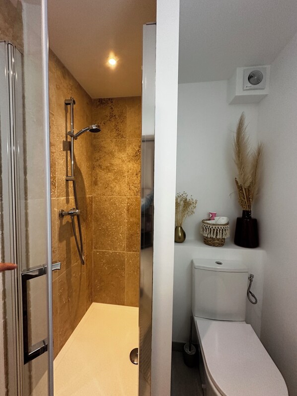 Douche, séchoir à cheveux, serviettes fournies, papier de toilette
