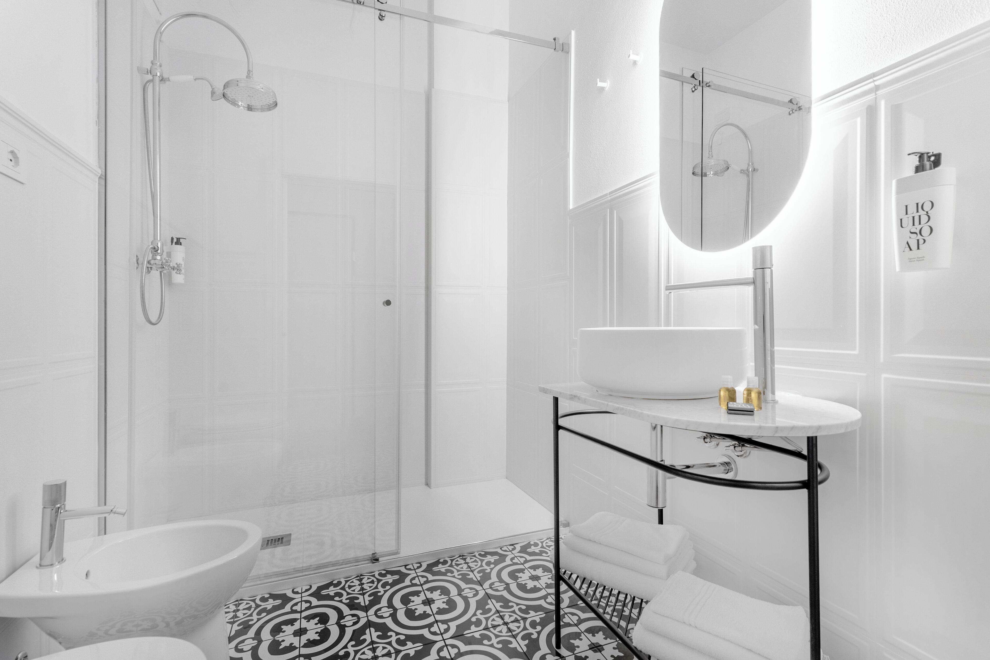 Shower, hair dryer, bidet, towels