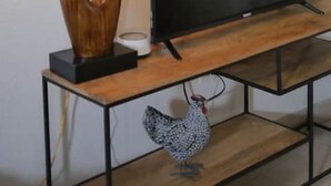 Un televisor sobre un soporte de madera, con una lámpara y un cuadro enmarcado encima.