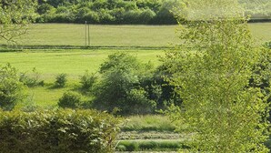 A room with a skylight and a view of a green field and trees. - Bleu Minuit - La Rive Etoilée (Plateau d'Hauteville)