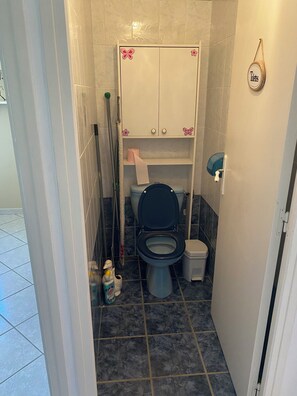 Suihku, hiustenkuivaaja