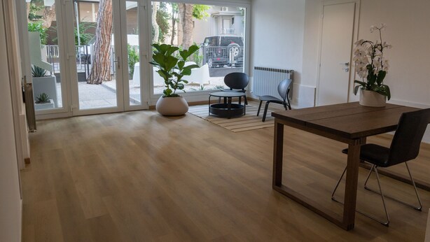 A spacious room with a wooden floor, a dining table with chairs, a potted plant, and a view through a glass door to the outside. - DimmiDiRimini (Rimini)