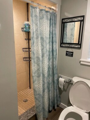 Shower, hair dryer