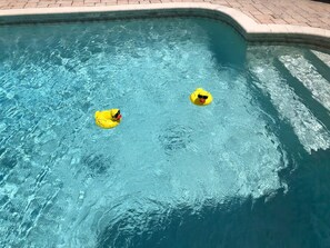 Pool - 03) Tropical Suite on Treasure Island (New Port Richey)