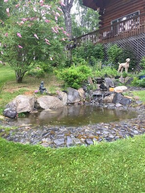Property grounds - Kasilof Countrywood Homestead (Kasilof)