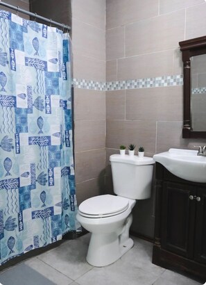 Chuveiro, secador de cabelo, toalhas de banho, sabonete