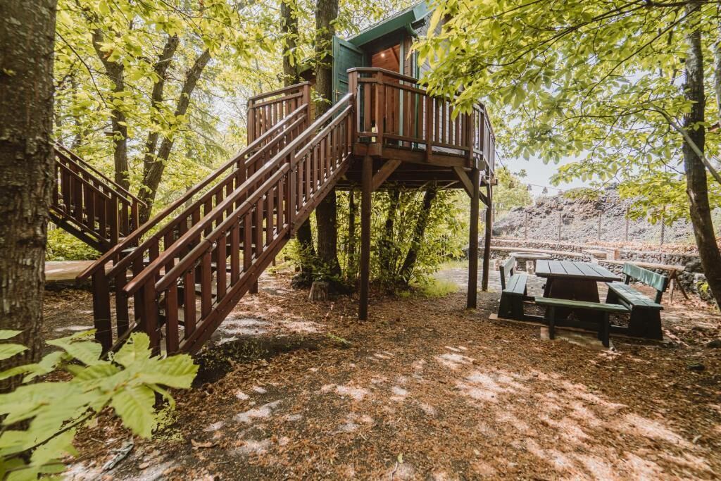 Une cabane en bois perchée dans un arbre, accessible par un escalier, entourée d’arbres et agrémentée d’une table de pique-nique.