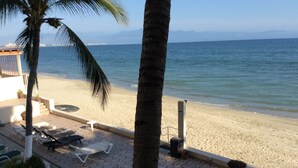 Eine Strandterrasse mit Liegestühlen, einem kleinen Tisch und einer Palme.