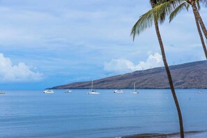 A coastal scene with boats, palm trees, and wind turbines.