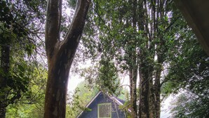 Rumah Deluks, dapur kecil, menghadap laut | Teras/patio