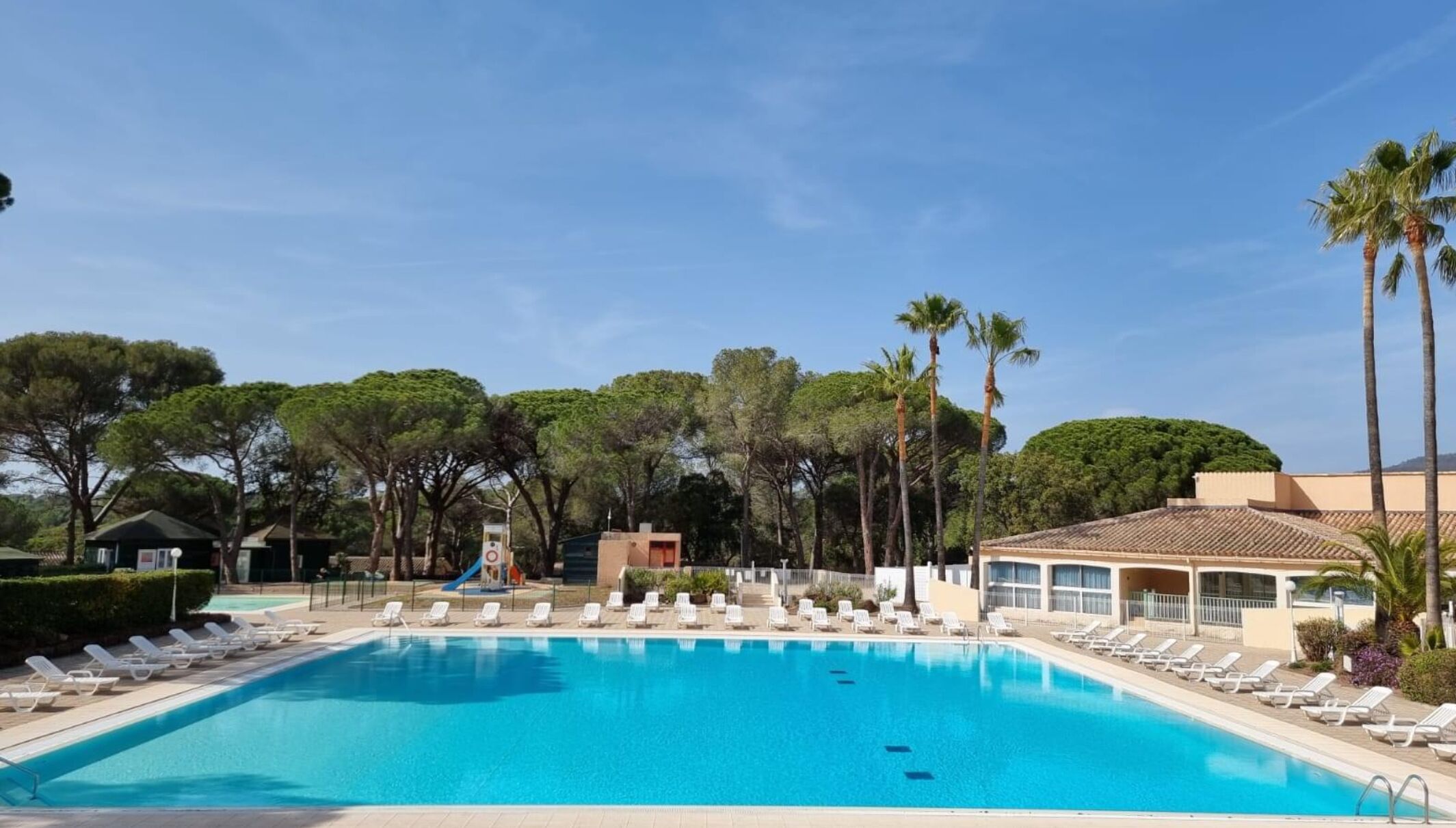 A swimming pool with lounge chairs, palm trees, and a playground in the background.