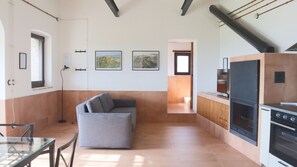 Smart TV, chimenea, libros