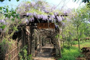 Jardín