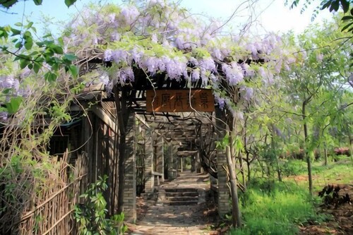 Hequan Farm