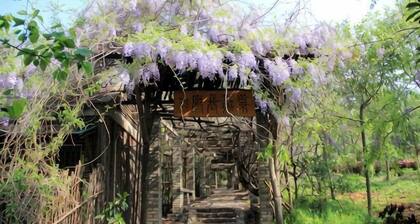 Hequan Farm