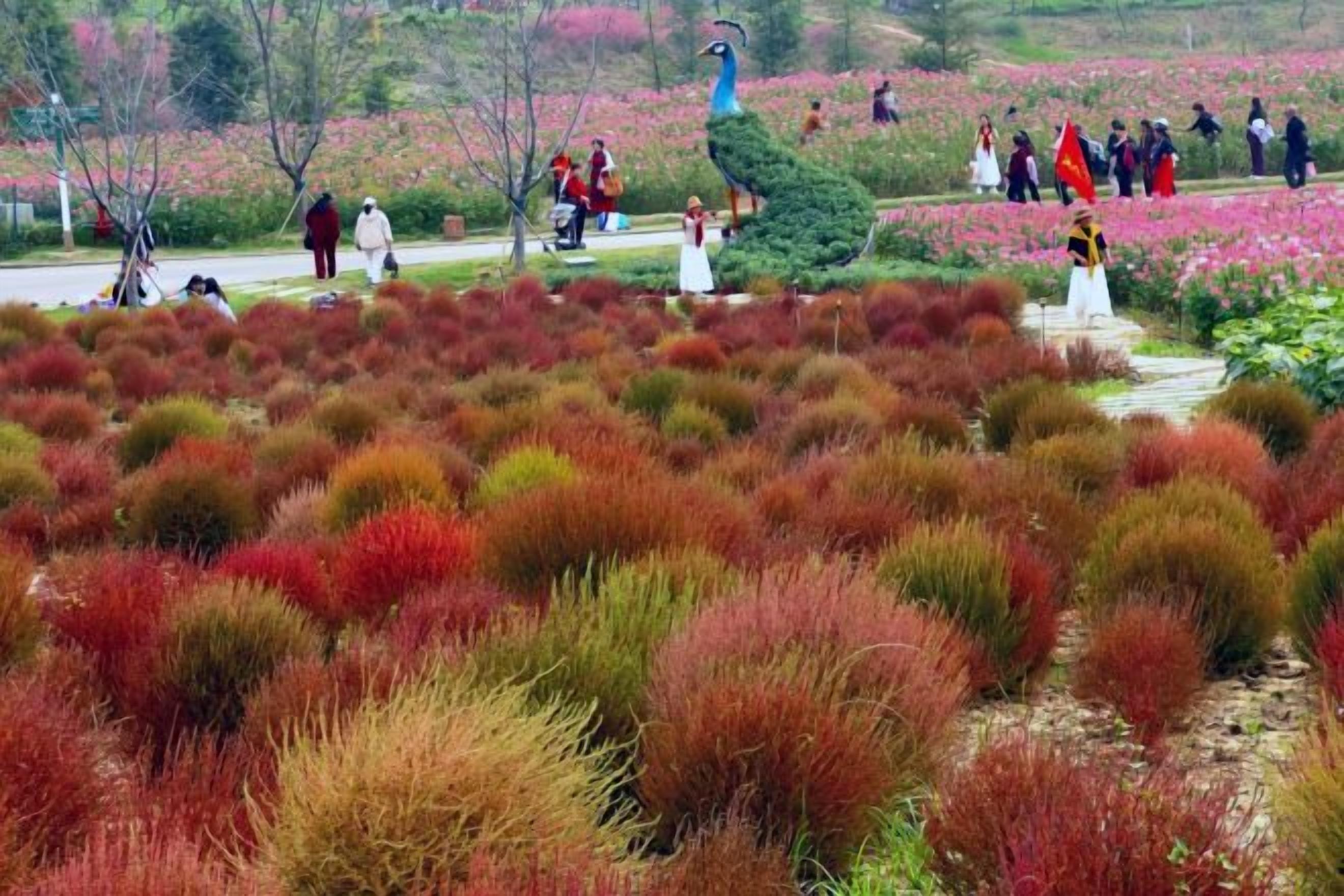 Un jardín ajardinado con diversas plantas y una estatua.