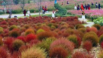Un jardín ajardinado con diversas plantas y una estatua.