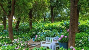 A bench in a garden with lush greenery and flowers. - Hequan Farm (Bengbu)