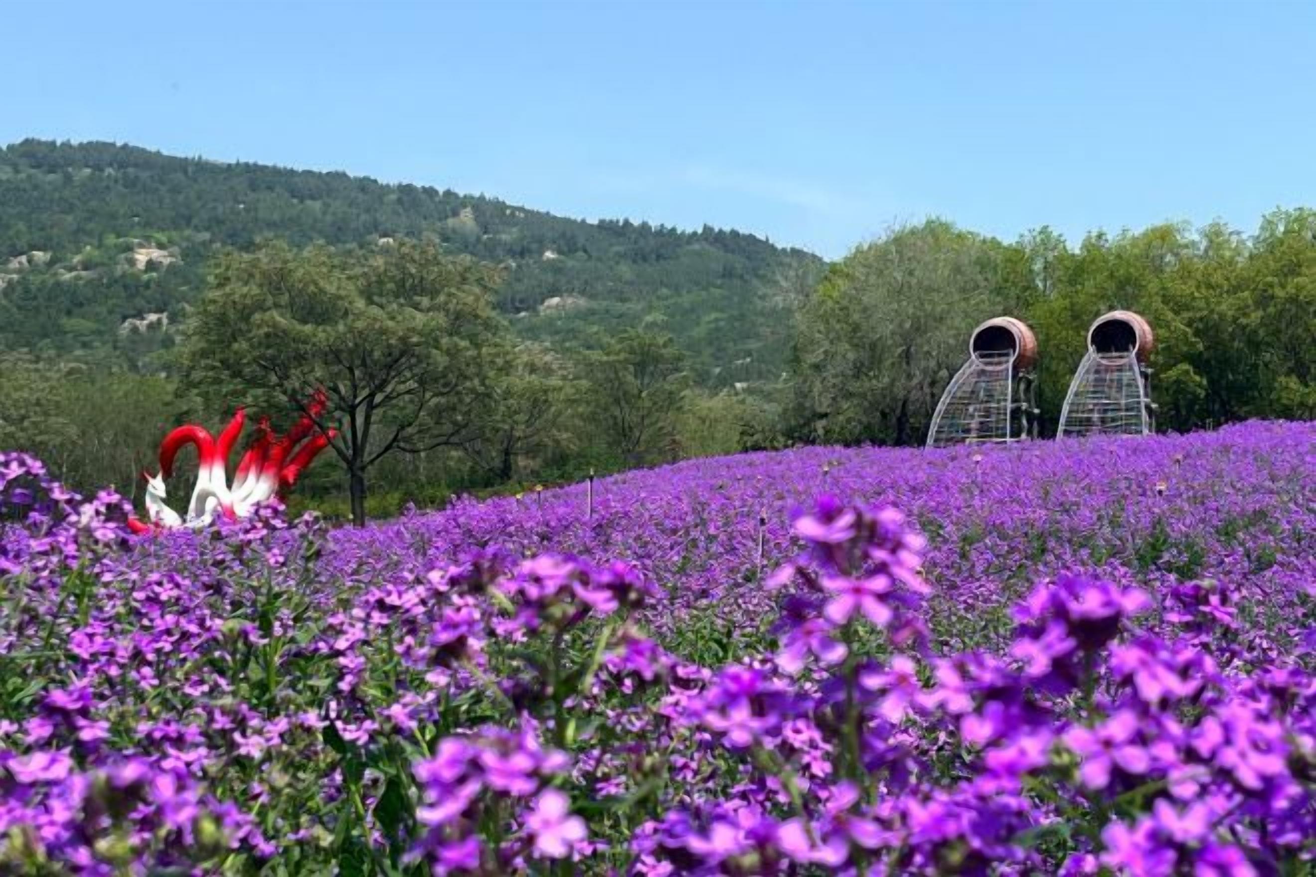 Un campo de flores moradas con dos grandes estructuras esféricas al fondo.
