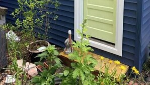Una casa azul con una puerta amarilla, un pequeño jardín con diversas plantas y un comedero para pájaros.