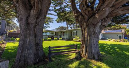 Coastal Charm: Inviting 3 BR Montara Home