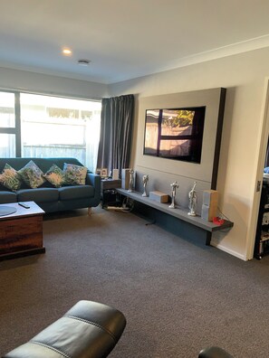 Smart TV, fireplace, books, music library